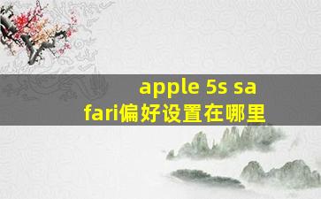 apple 5s safari偏好设置在哪里